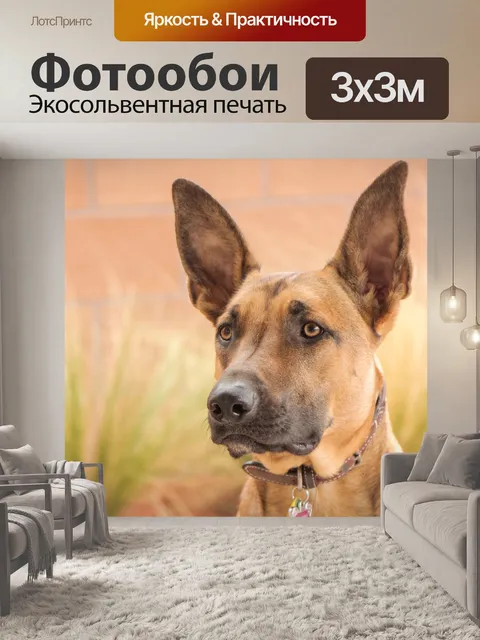 Фотообои Малинуа