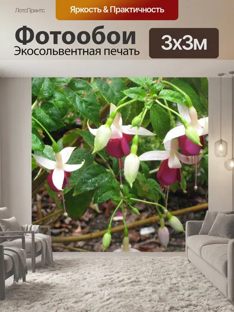 Фотообои Фуксия