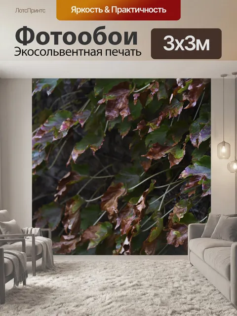 Фотообои Мороз Поврежденные листья плюща