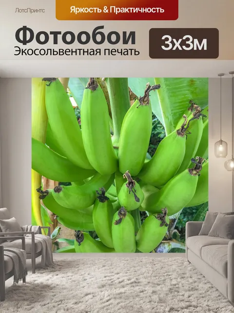 Фотообои Растущие бананы