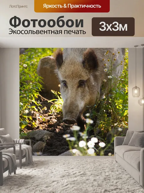 Фотообои кабан