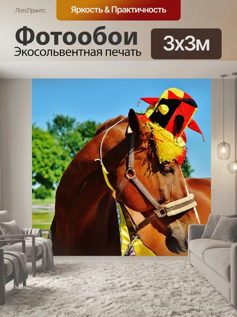 Фотообои Чемпионат европы