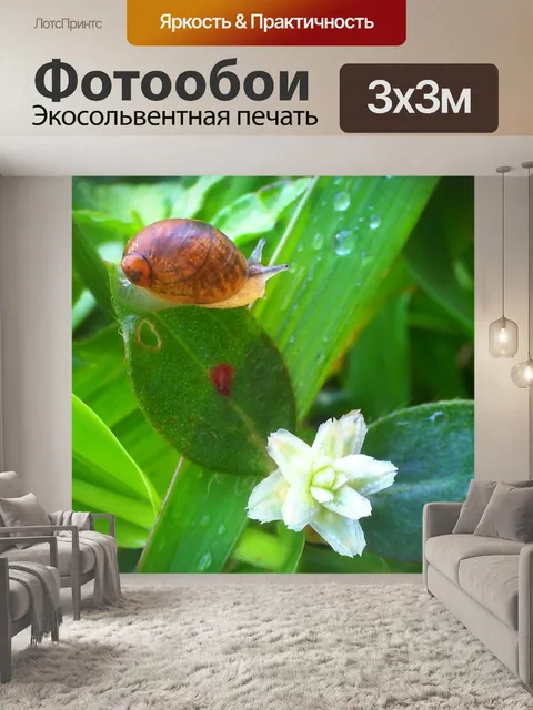 Фотообои Животное