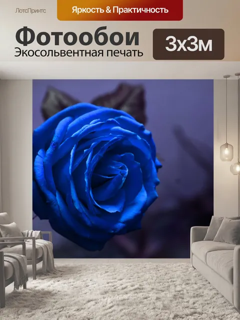 Фотообои Роза