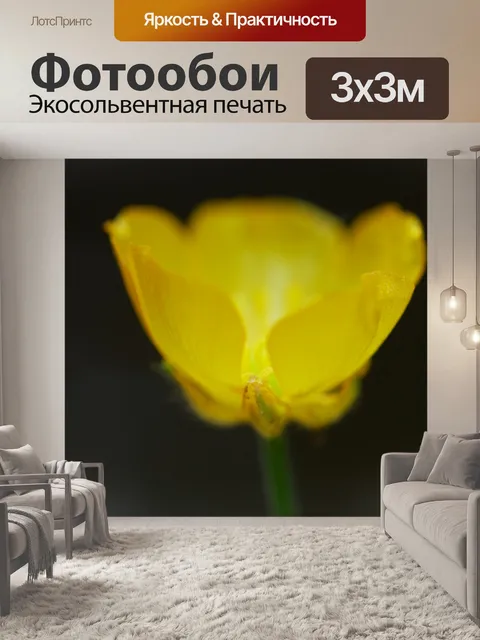 Фотообои Лютик