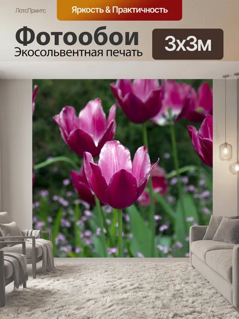 Фотообои Tulipa Greigii