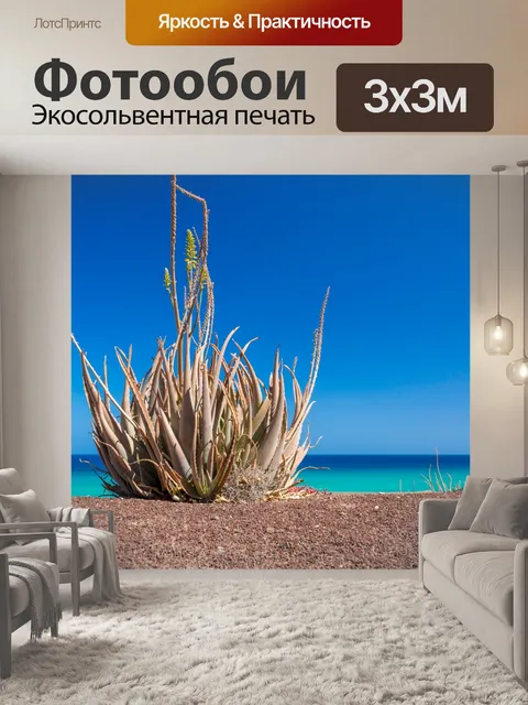 Фотообои Алоэ Вера и голубое небо