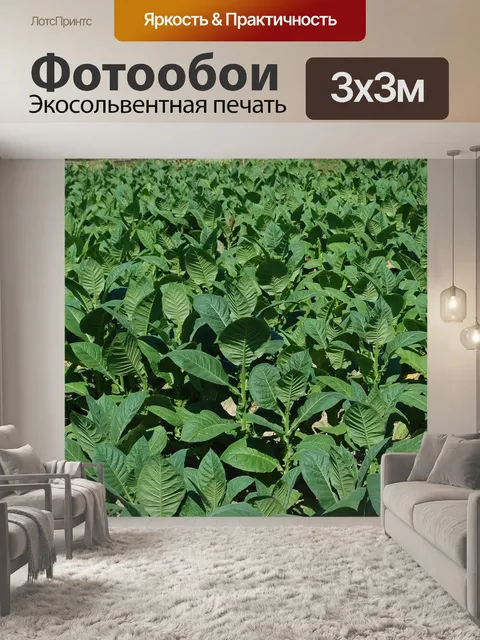 Фотообои Куба