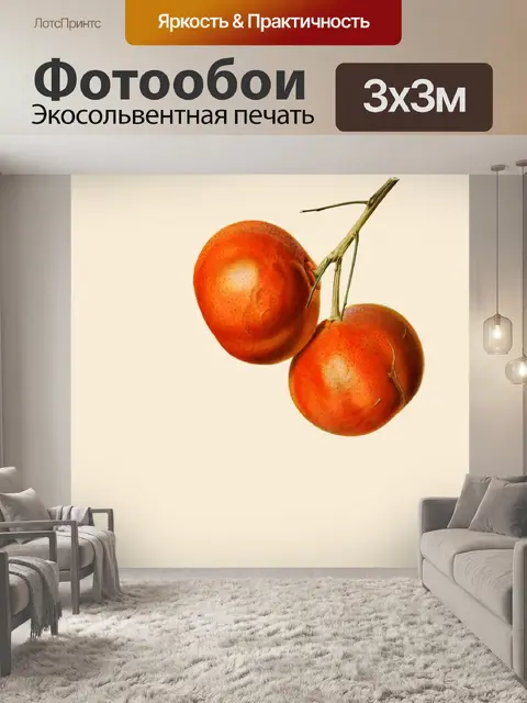 Фотообои Мандарин фрукты винтаж акварель