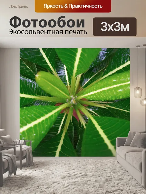Фотообои Листья пагоды