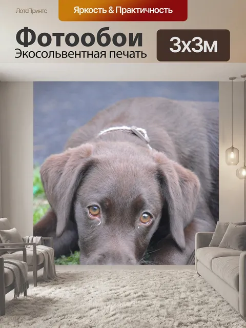 Фотообои Щенок