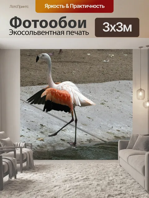 Фотообои Розовые фламинго