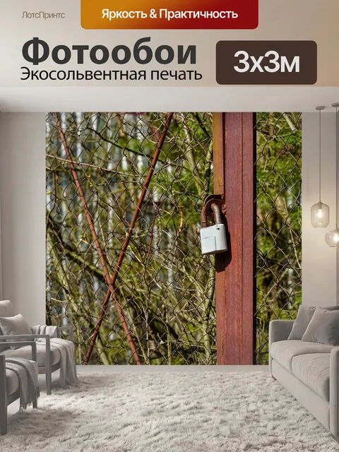 Фотообои Висячий замок