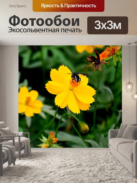 Фотообои Природа