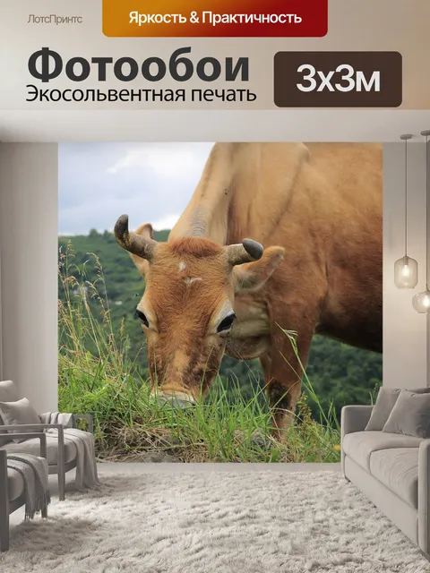 Фотообои Корова