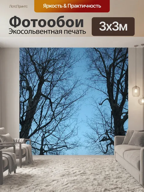 Фотообои Клен