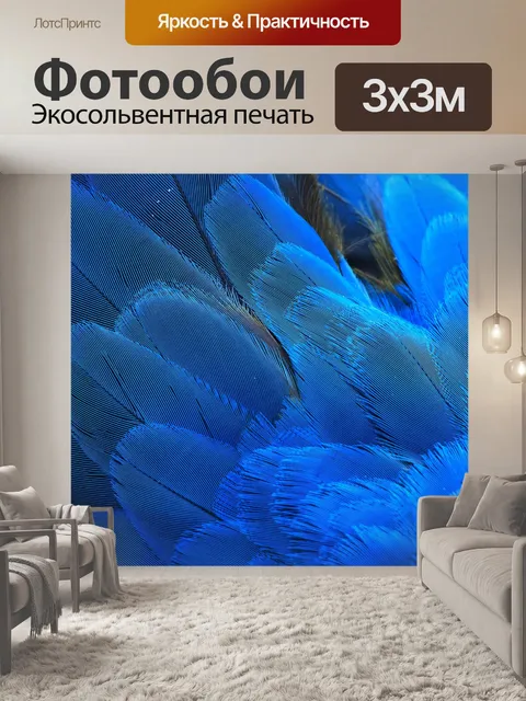 Фотообои Цвета