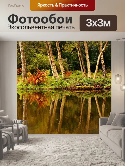 Фотообои Дерево березы