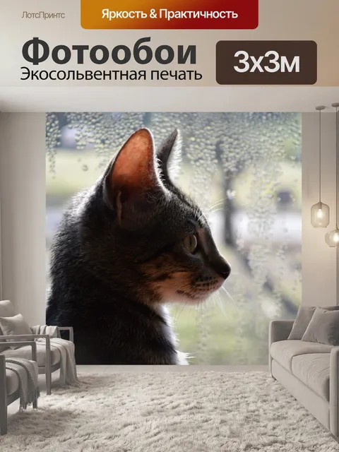 Фотообои Профиль кошачьих