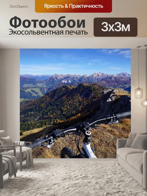 Фотообои Катание на горных велосипедах