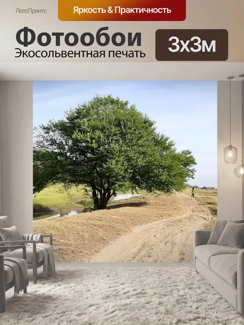 Фотообои Дерево