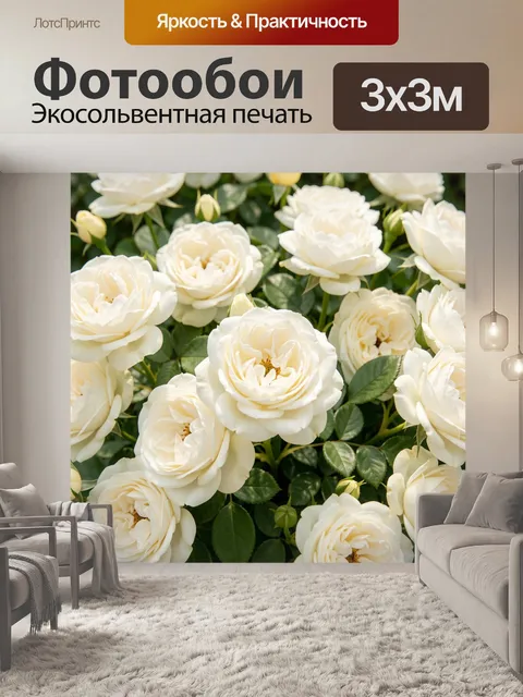 Фотообои Кремовые садовые розы крупным планом
