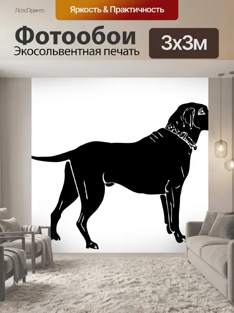 Фотообои Собака, лабрадор Силуэт