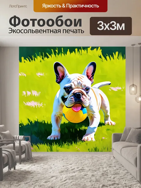 Фотообои французский бульдог, радостно играющий с мячом на зеленом лужайке, яркое солнечное свето