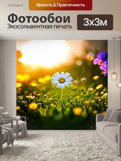 Фотообои одинокая ромашка гордо растет на зеленом лугу, окруженная яркими цветами и мягким светом заходящего солнца