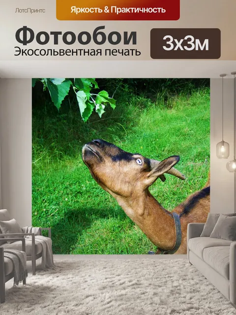 Фотообои Коричневая коза