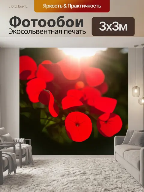 Фотообои красные оттенки в лепестках цветов, расширяющиеся под солнечными лучами