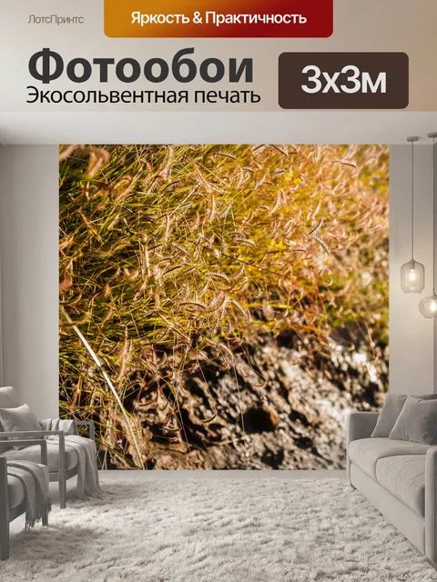 Фотообои Трава цветочное поле, полевые цветы