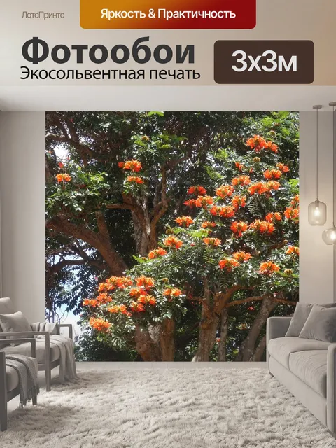 Фотообои Огненное дерево