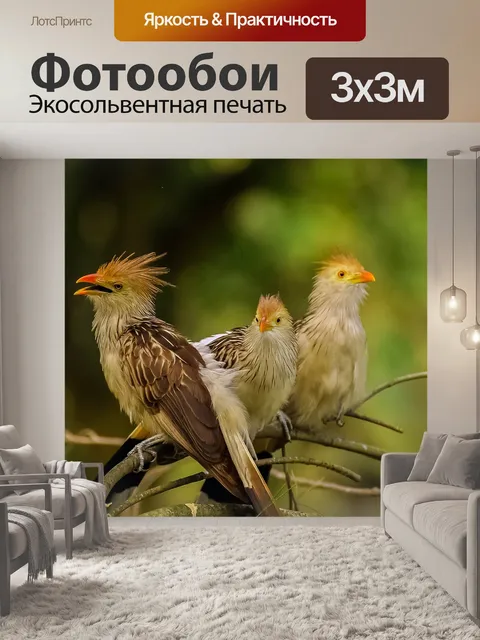 Фотообои Птицы