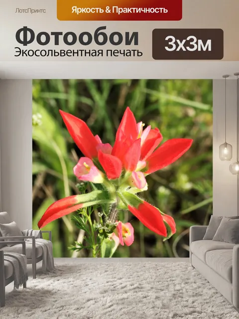 Фотообои Индийская кисть крупным планом 2