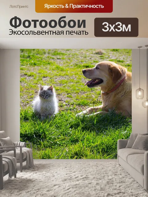 Фотообои Собака