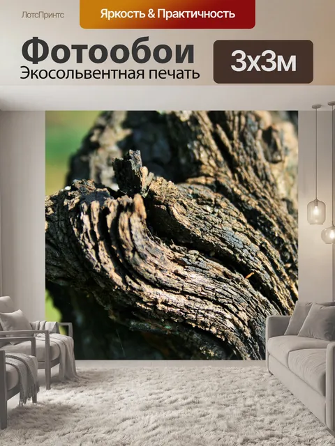 Фотообои корявый ствол старого персикового дерева