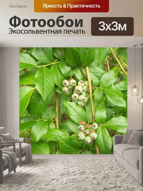 Фотообои Черника