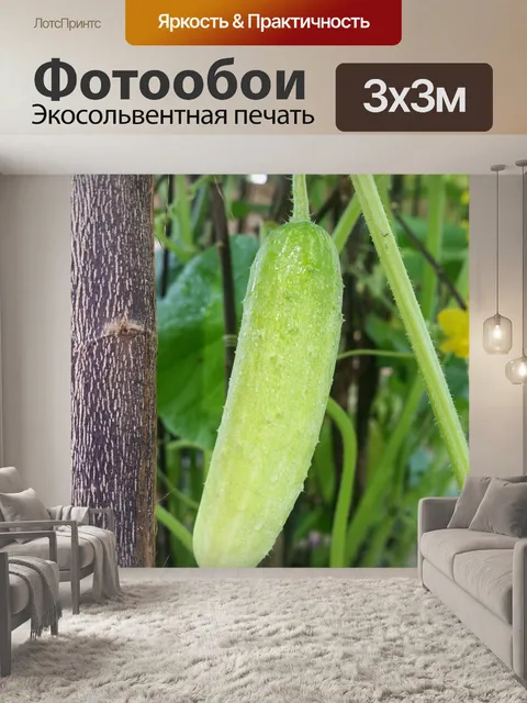 Фотообои Овощ