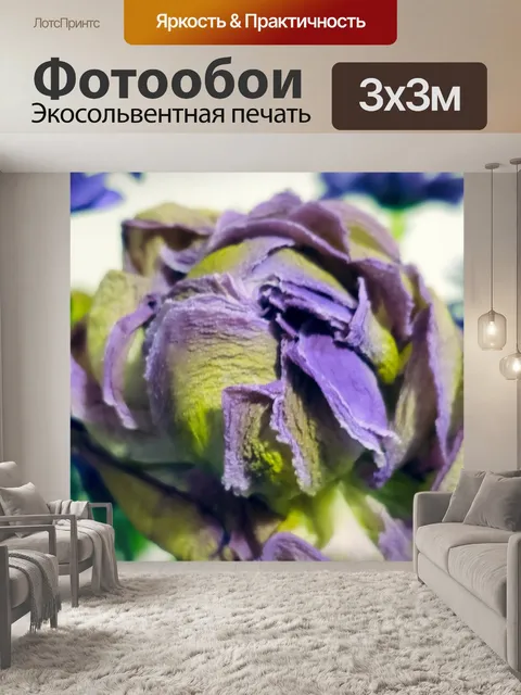 Фотообои Цветок пиона