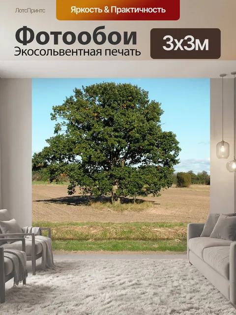 Фотообои Дерево