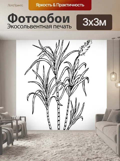 Фотообои Иллюстрация Сахарный тростник Clipart