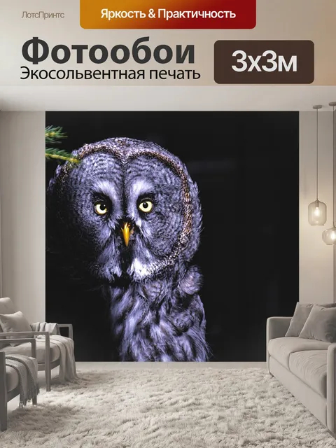 Фотообои Барт сова