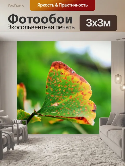 Фотообои гинкго билоба пожелтение