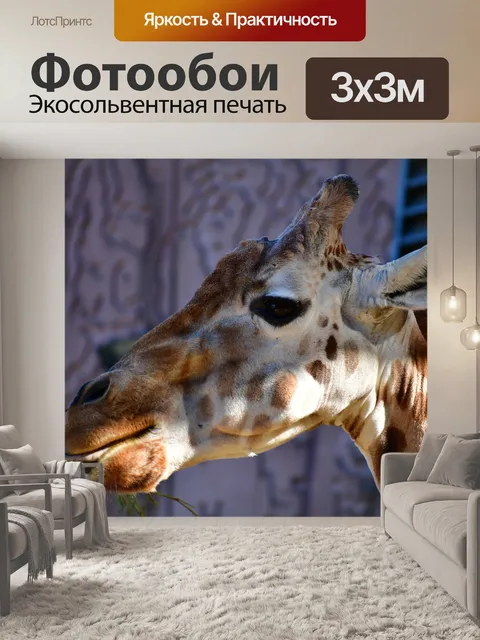 Фотообои Голова жирафа
