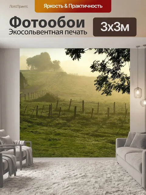 Фотообои Утренний туман