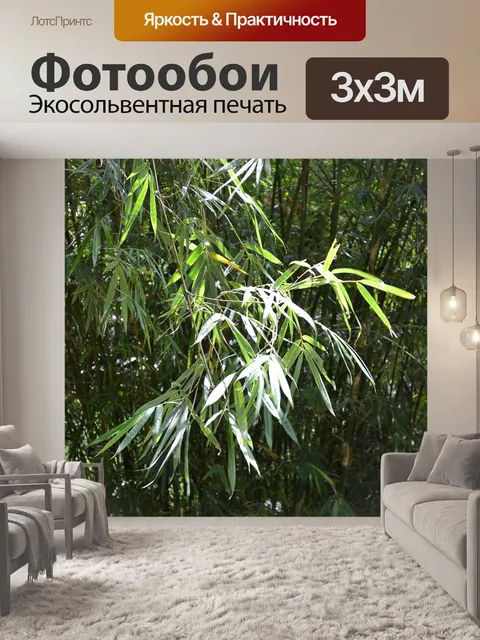 Фотообои Бамбуковых листьев бамбука