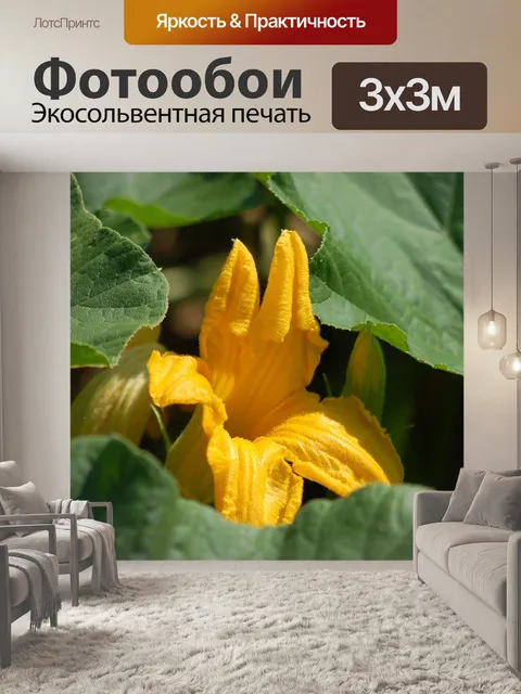 Фотообои Желтый цветок