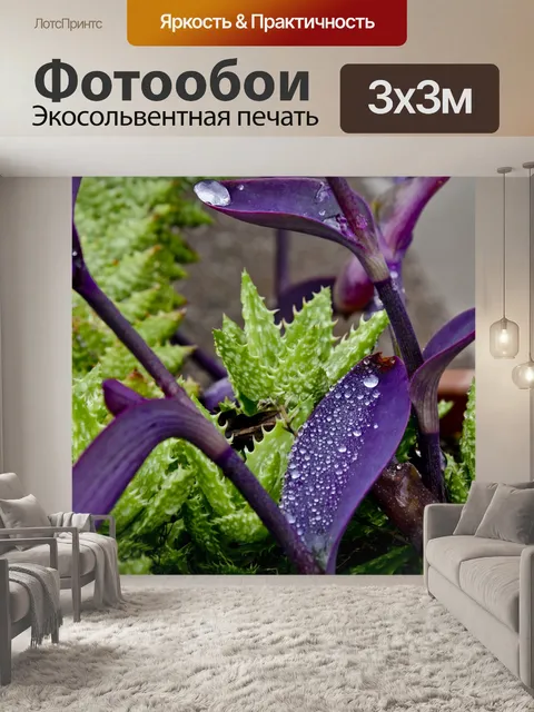Фотообои Капли дождя на фиолетовом Canus