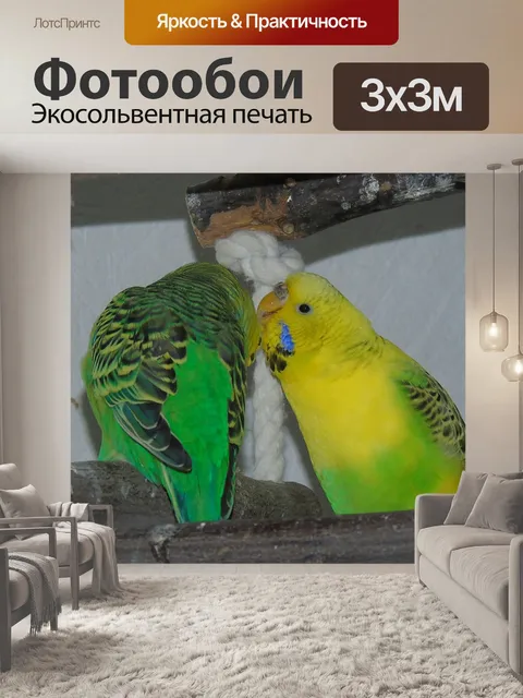 Фотообои Волнистый попугайчик